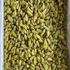 فروش کشمش سبز