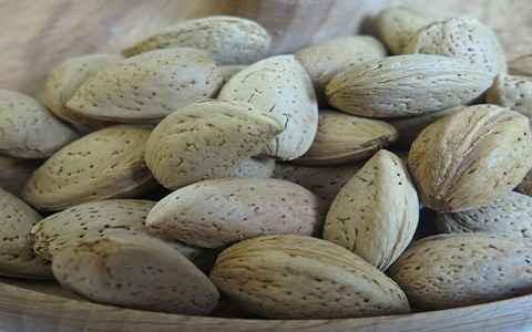 تصویر 2 از انواع بادام درختی تازه با کیفیت بالا و طبیعی