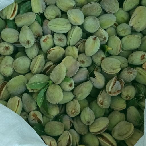 تصویر 3 از بادام درختی با پوست سبز و کیفیت تضمینی