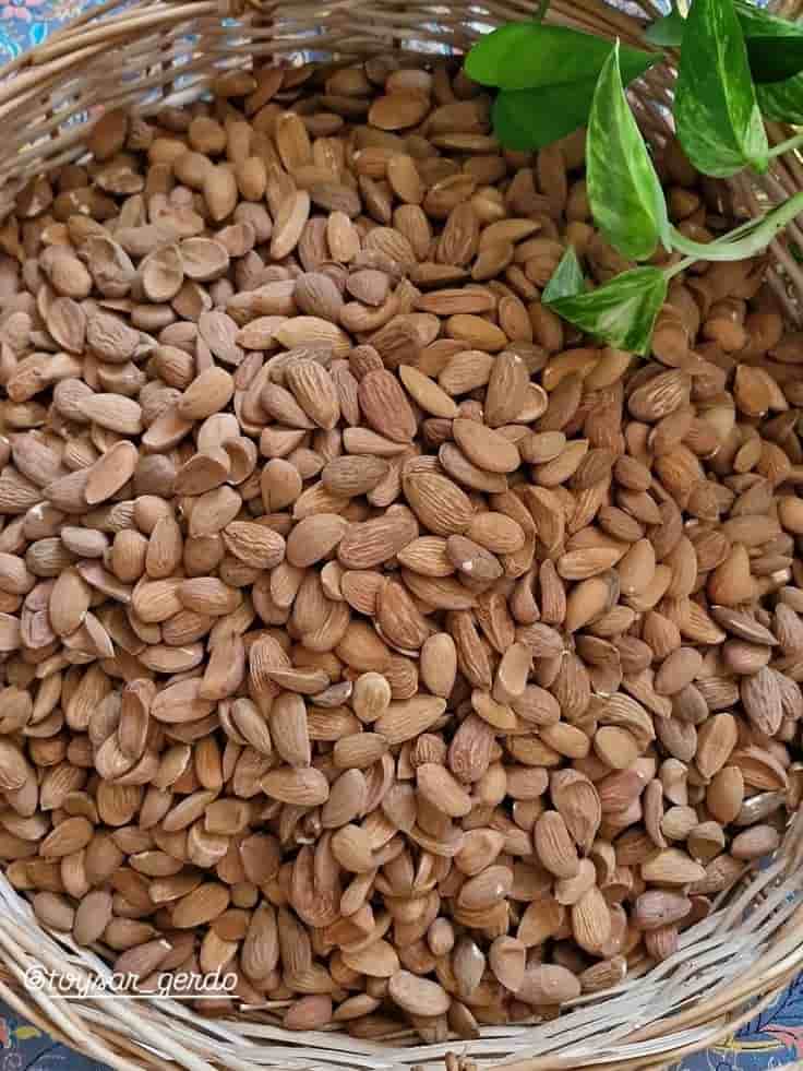 تصویر 3 از بادام درختی محلی تازه با طعم شیرین