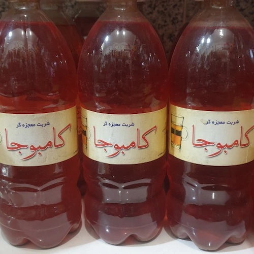 شربت کامبوجا با طعمی خنک و حس شادابی‌ بخش