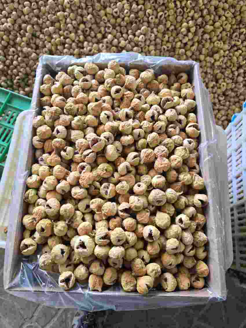 تصویر 2 از انجیر خشک صادراتی آبان ماه 1۴۰۴ + فروش ویژه و عمده