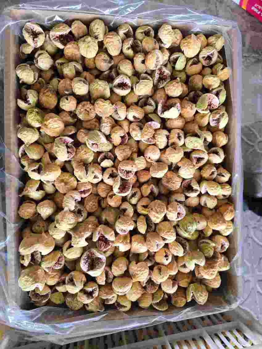 تصویر 5 از انجیر خشک صادراتی آبان ماه 1۴۰۴ + فروش ویژه و عمده