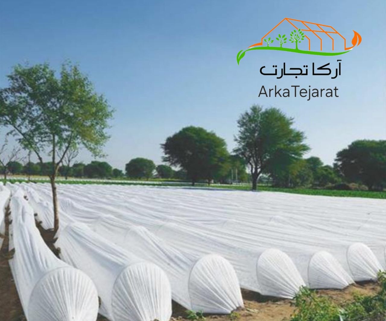 تصویر 1 از خرید نقدی و عمده کاور ضد سرما گوجه‌فرنگی + قیمت استثنایی