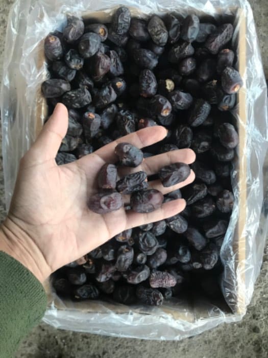 تصویر 2 از انواع خرما مضافتی جنوب فله و کارتنی