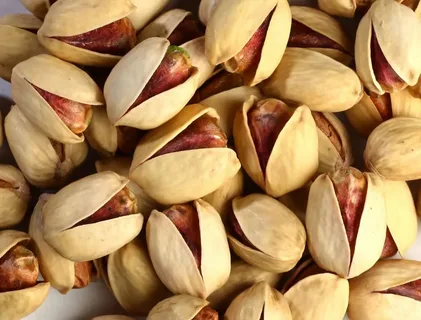 پسته فندقی سیرجان با کیفیت پایدار و دانه‌ های سالم