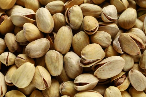 عرضه پسته اکبری تهران تازه و مرغوب