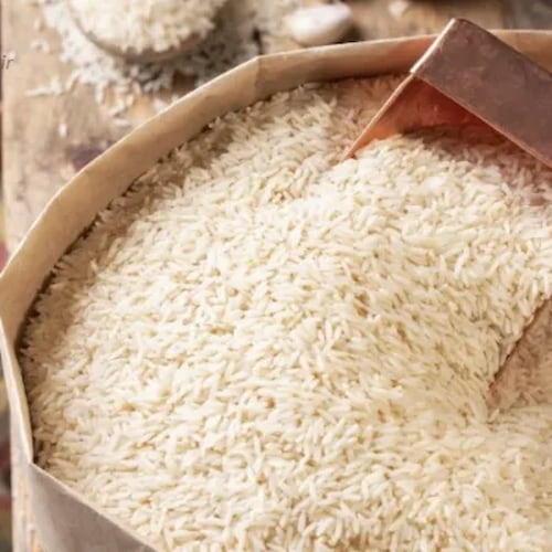 تصویر 4 از پخش مستقیم برنج فجر گرگان از شالیزار