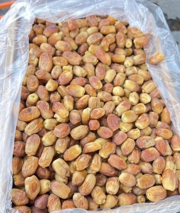 تصویر 5 از خرما پشت کوه زاهدی درجه یک بسته بندی + صادرات به کشور روسیه