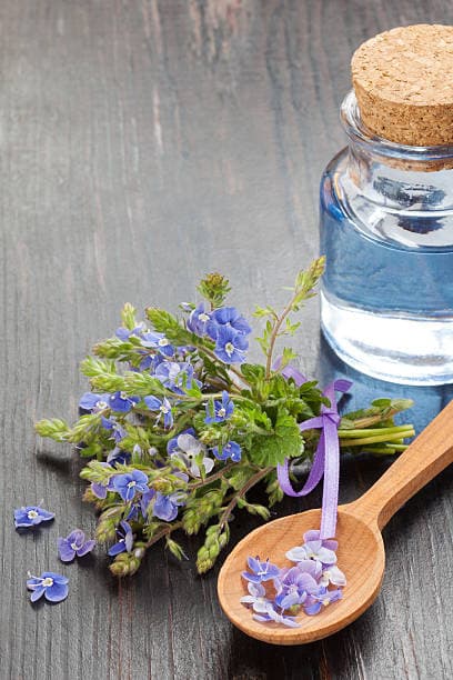 عرضه عرق کاسنی طبیعی مقرون به صرفه