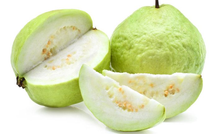 تصویر 4 از قیمت روز گواوا + ثبت سفارش برای عمده فروشان