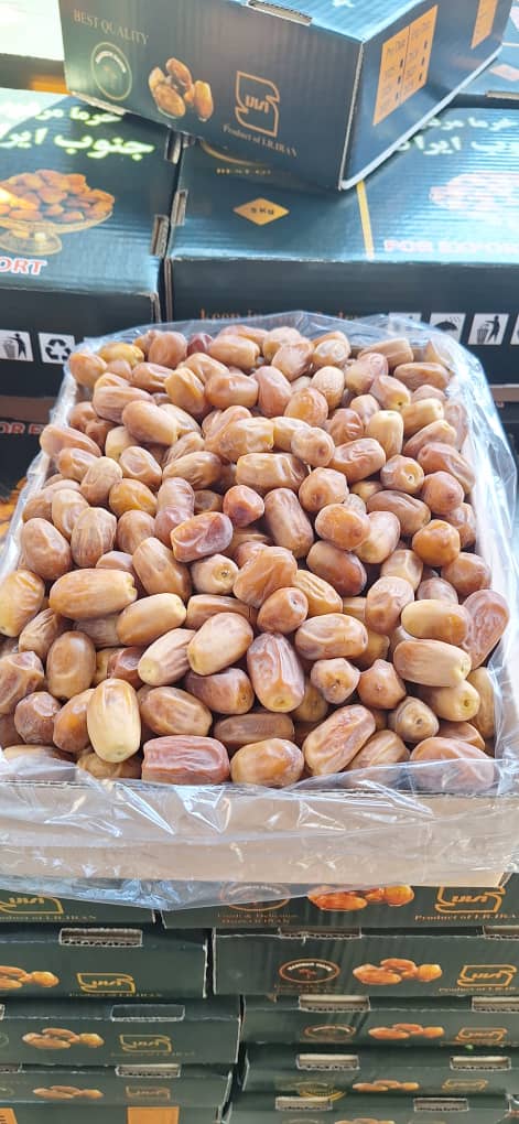 تصویر 2 از خرما زاهدی جنوب دانه درشت برای صادرات