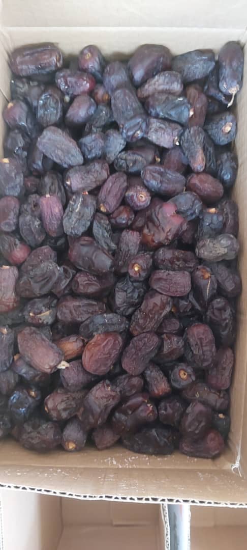 تصویر 1 از خرما مضافتی طلایی با نرمی میان‌ لایه و کیفیت درجه یک