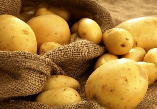 قیمت خرید سیب زمینی در پاکستان + فروش عمده + کیفیت صادراتی