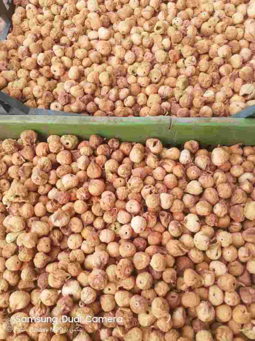 تصویر 4 از فروش ویژه انجیر خشک سالم + قیمت خرید