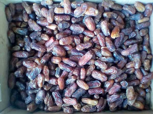 تصویر 4 از خرما مضافتی ۶۰۰ گرمی مخصوص تامین عمده