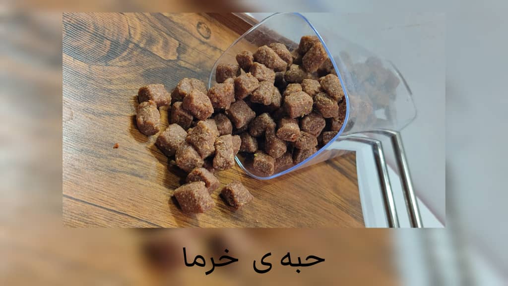 حبه خرما تمریران سالم بدون مواد نگهدارنده و افزودنی
