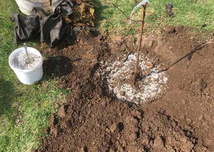 تصویر 2 از فروش تضمینی کود هیدروژل برای خاک های سبک و شنی