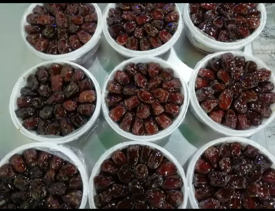 تصویر 3 از خرما کبکاب محلی با کیفیت برتر