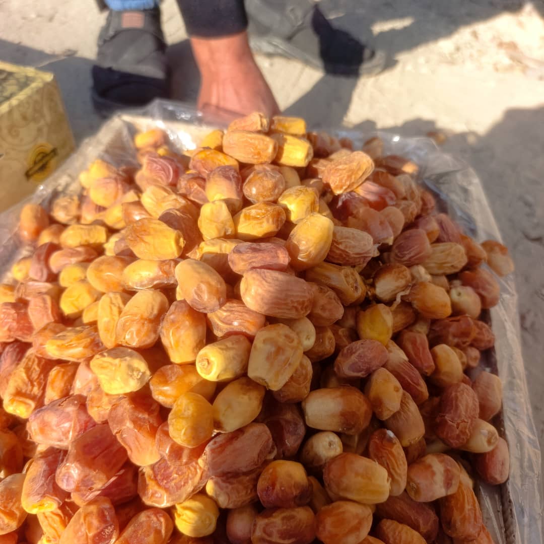 تصویر 1 از خرما زاهدی قصب بهترین کیفیت صادراتی تناژ بالا  موجود