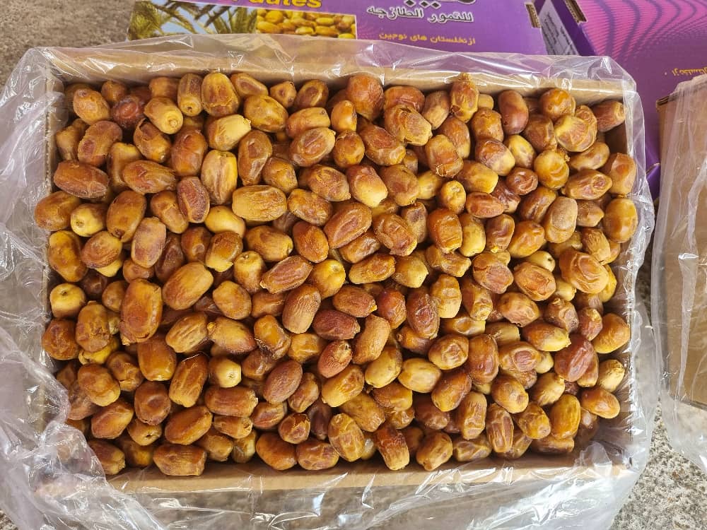 تصویر 4 از خرما زاهدی درجه یک داخلی صادراتی به کشور های اروپا