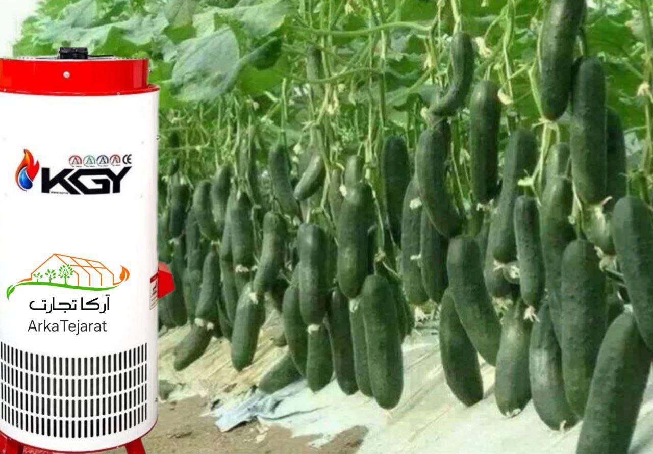 تصویر 4 از خرید اینترنتی بخاری کوچک گلخانه‌ای + فروش ویژه
