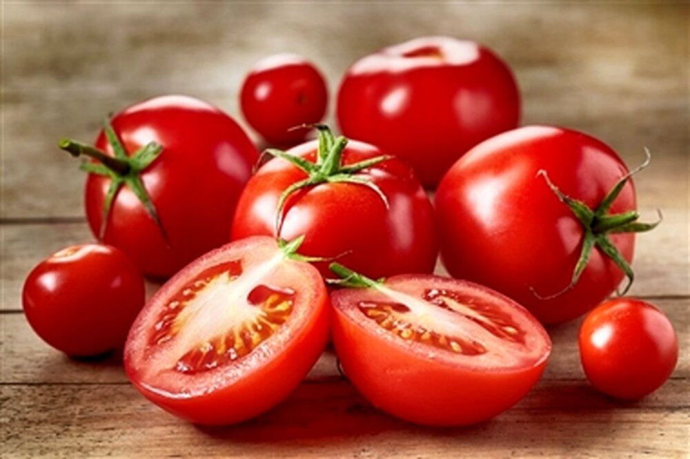 گوجه‌ فرنگی درختی یک‌ دست و درشت با کیفیت اقتصادی