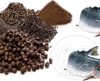 غذای ماهی