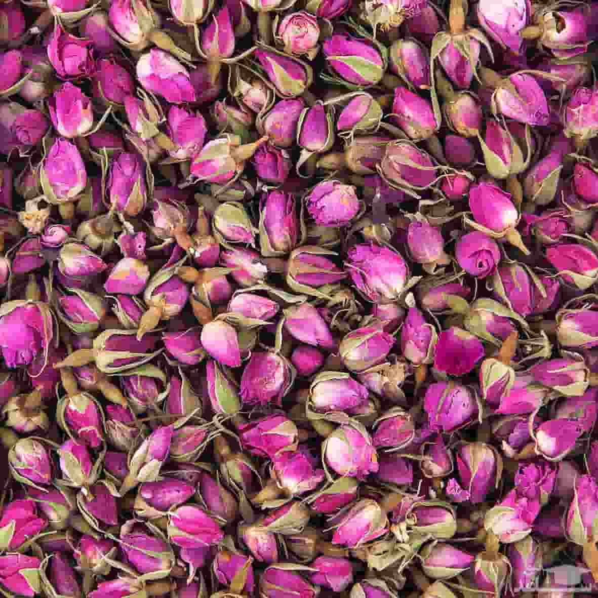 تصویر 4 از غنچه گل محمدی  درجه 1 قیمت مناسب