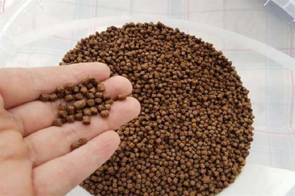 غذای ماهی لوچ دلقک ترکیب ته‌نشین‌کن سطحی