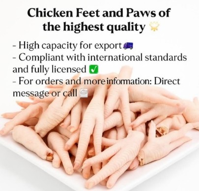 خرید عمده پای مرغ صادراتی wholesale  chicken feet