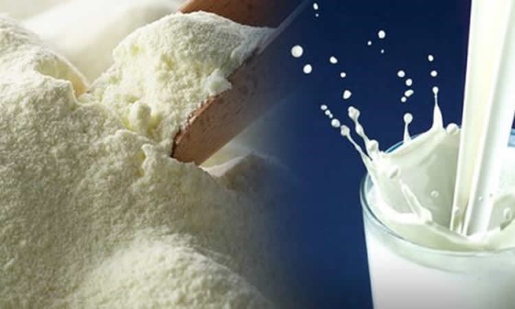 پودر شیر خشک صنعتی با خلوص بسیار بالا و سفید