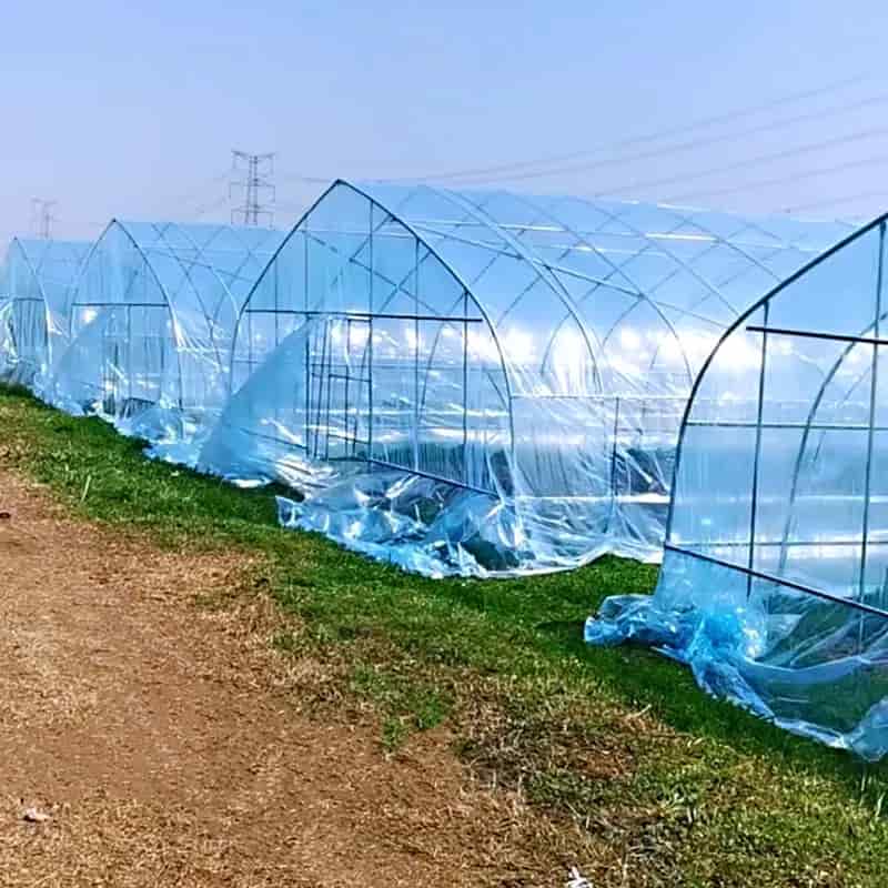 تصویر 3 از نایلون گلخانه مقاوم در برابر تابش نور و سرما