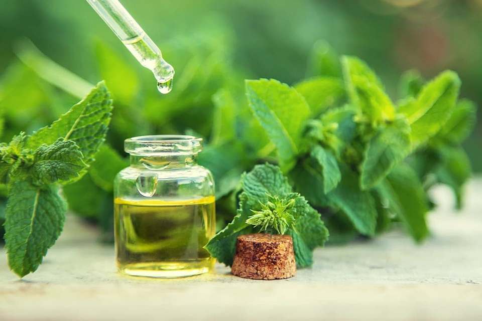 تصویر 4 از معرفی بهترین عرق نعناع قیمت مناسب