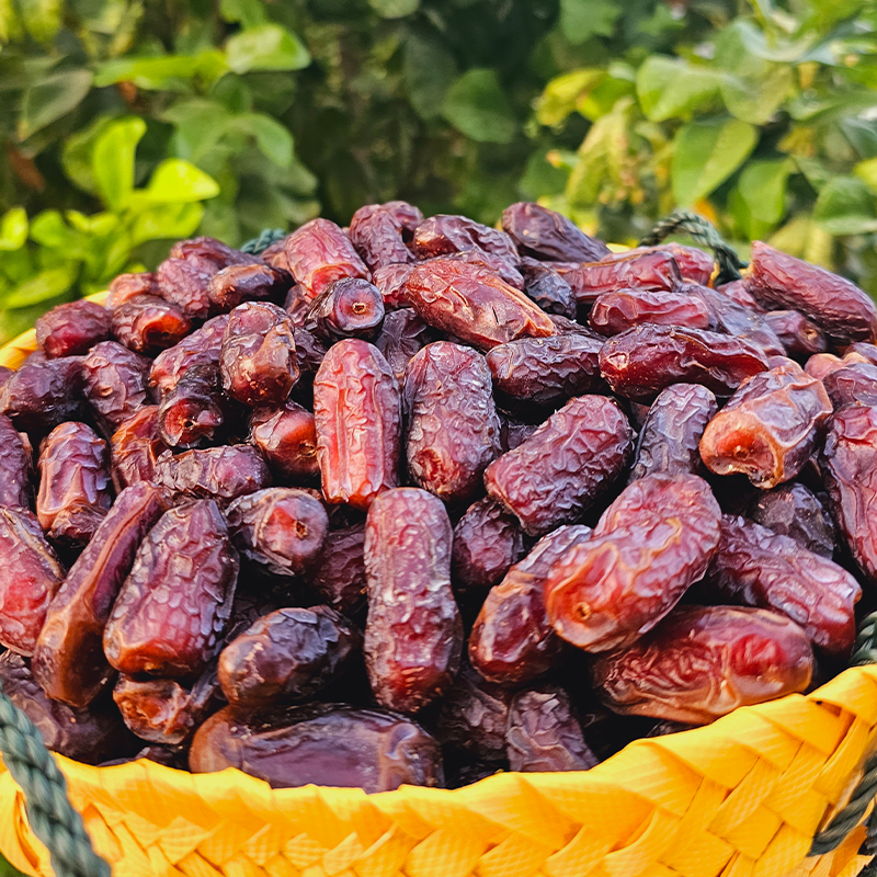 خرما پیارم خشکبار مقوی و انرژی زا با طعم عالی