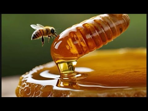 عسل چهل گیاه دشت با خواص درمانی