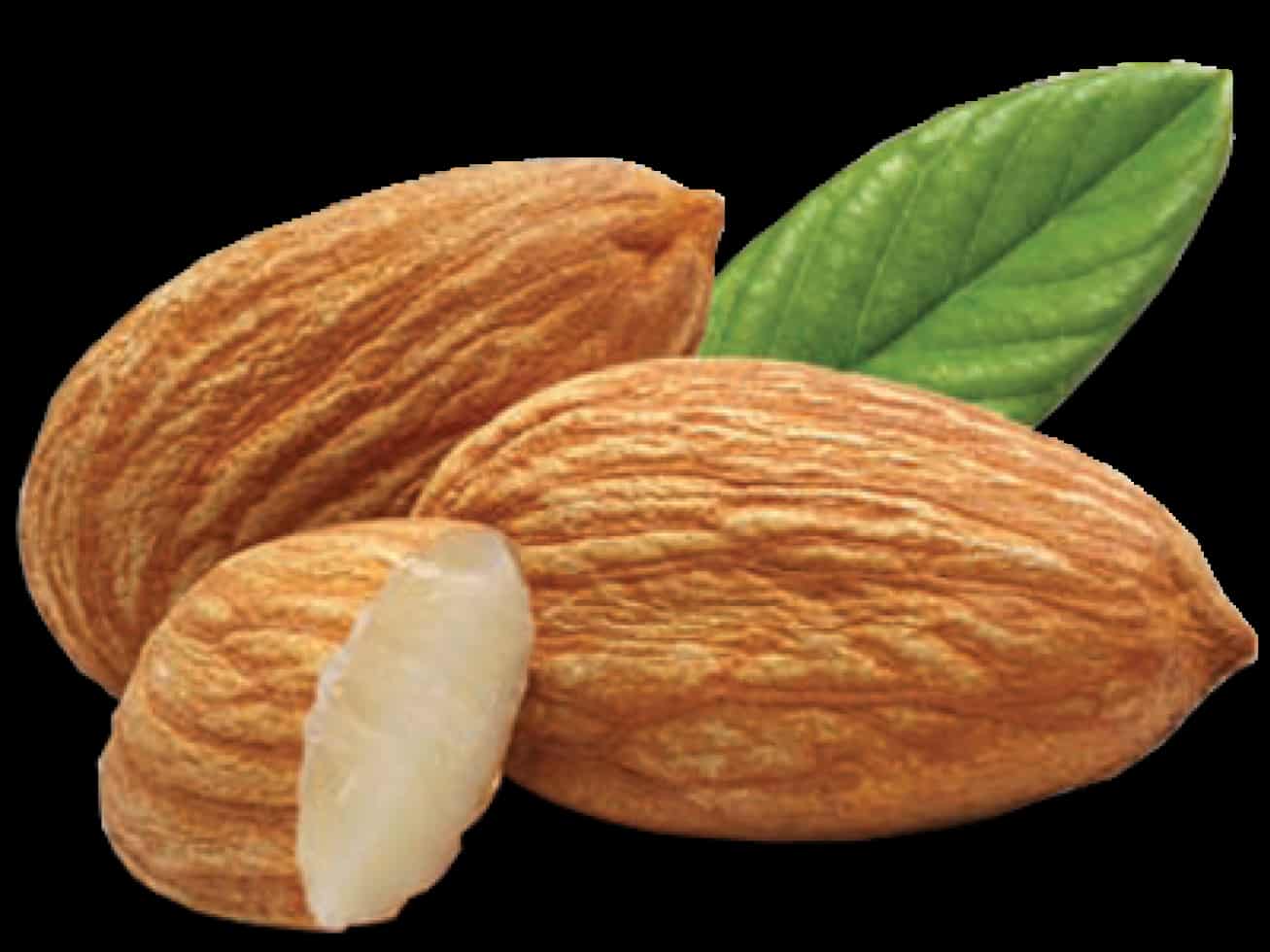 تصویر 3 از مغز بادام درختی تازه و با کیفیت عالی