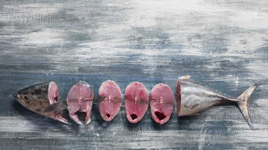 تصویر 1 از کنسرو ماهی جنوب 180 گرم با طعمی لذیذ و طبیعی