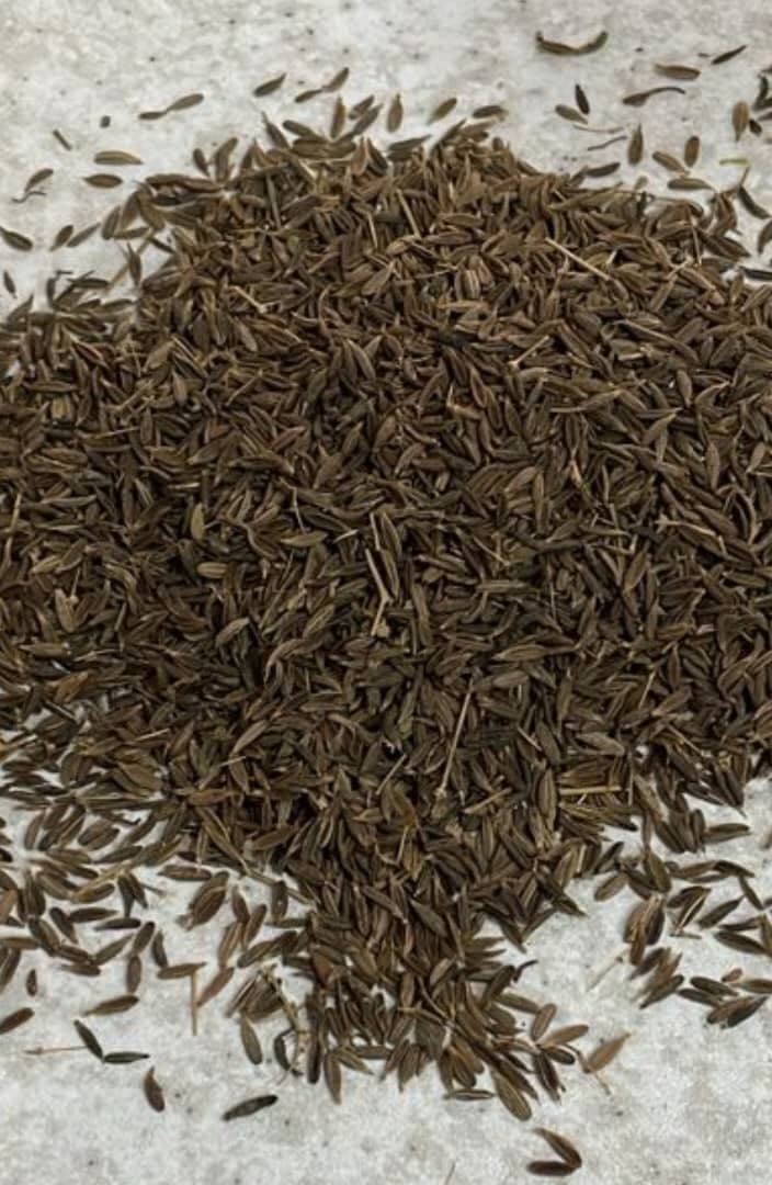 تصویر 1 از فروش زیره سبز خراسان سورت‌ شده | خرید زیره سبز مرغوب مخصوص صادرات