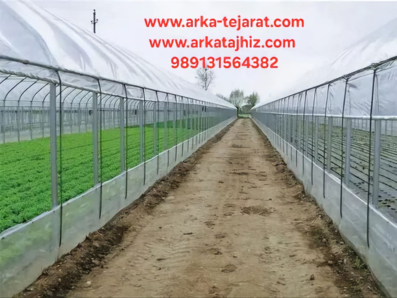 تصویر 2 از قیمت و خرید نایلون پرشین یزد از کارخانه + فروش باورنکردنی