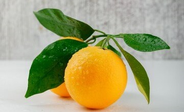 پرتقال کوچک