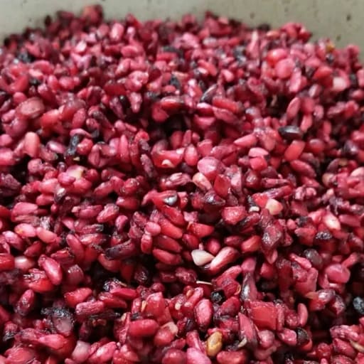 فروش انار خشک