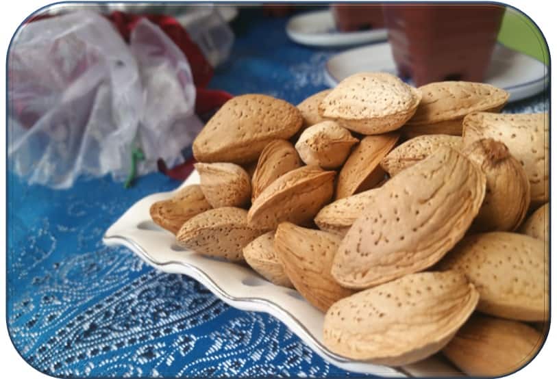 تصویر 1 از بادام درختی ارگانیک تازه برداشت شده و تضمینی
