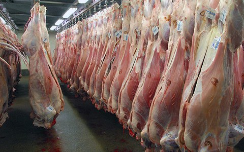 تصویر 1 از گوشت گوسفندی هایزم تازه و خوش طعم مناسب پخت