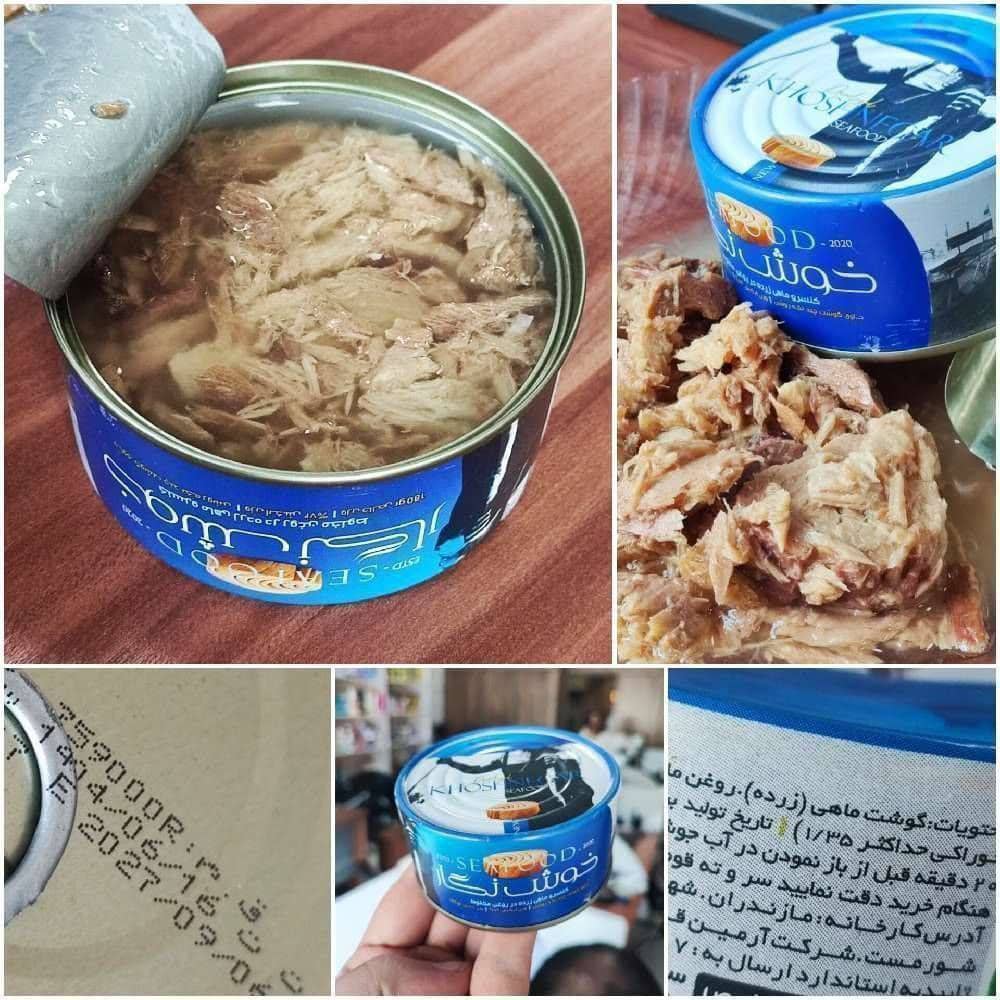 خرید عمده کنسرو تن ماهی خوش نگار