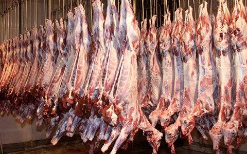 تصویر 2 از گوشت گوسفندی برزیلی منجمد با کیفیت یکنواخت وارداتی