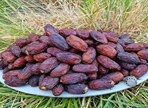 تصویر 1 از خرما مضافتی اعلا محصولی ممتاز و متفاوت برای سفره‌ های رسمی