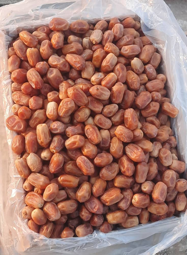 تصویر 3 از خرما زاهدی کیلویی + خشک دست‌ چین شده ویژه