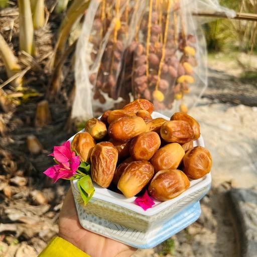 تصویر 3 از خرما زاهدی درجه ممتاز تازه برداشت شده از نخلستان