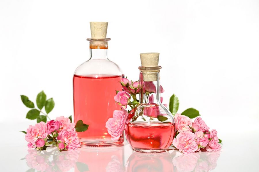 گلاب اصل سحرخیز با عطر ناب و خلوص کامل گل های تازه